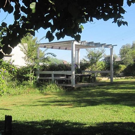 The House By The Mulberry Tree Διαμέρισμα Neve Ilan Εξωτερικό φωτογραφία