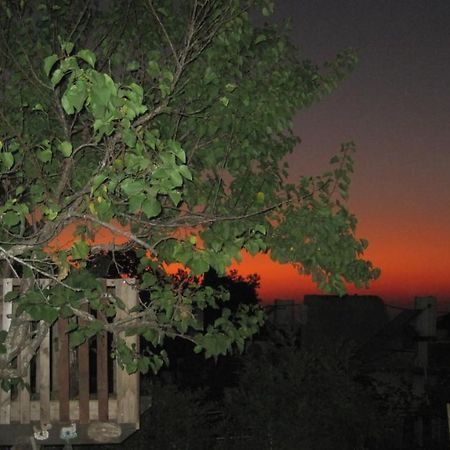 The House By The Mulberry Tree Διαμέρισμα Neve Ilan Εξωτερικό φωτογραφία