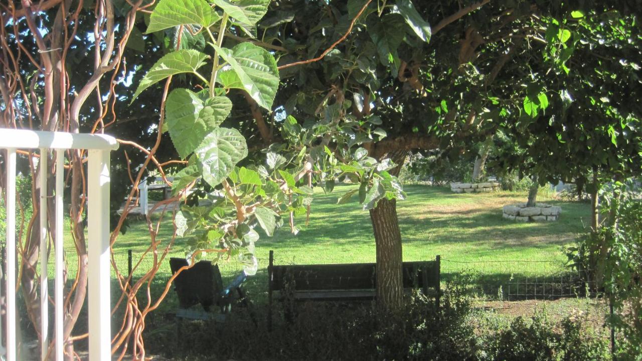 The House By The Mulberry Tree Διαμέρισμα Neve Ilan Εξωτερικό φωτογραφία