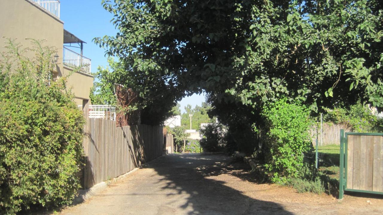 The House By The Mulberry Tree Διαμέρισμα Neve Ilan Εξωτερικό φωτογραφία